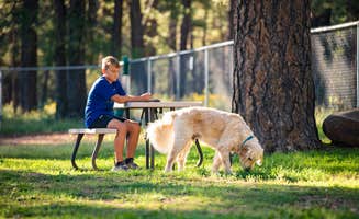 Claire G.'s photo of camping with pets at Munds Park RV Resort near Coconino National Forest