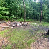 Review photo of Lehigh Gap Woodpecker Trailhead Primitive Campground by Asher K., June 29, 2023