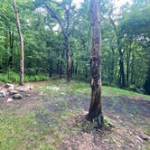 Review photo of Lehigh Gap Woodpecker Trailhead Primitive Campground by Asher K., June 29, 2023