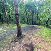 Review photo of Lehigh Gap Woodpecker Trailhead Primitive Campground by Asher K., June 29, 2023