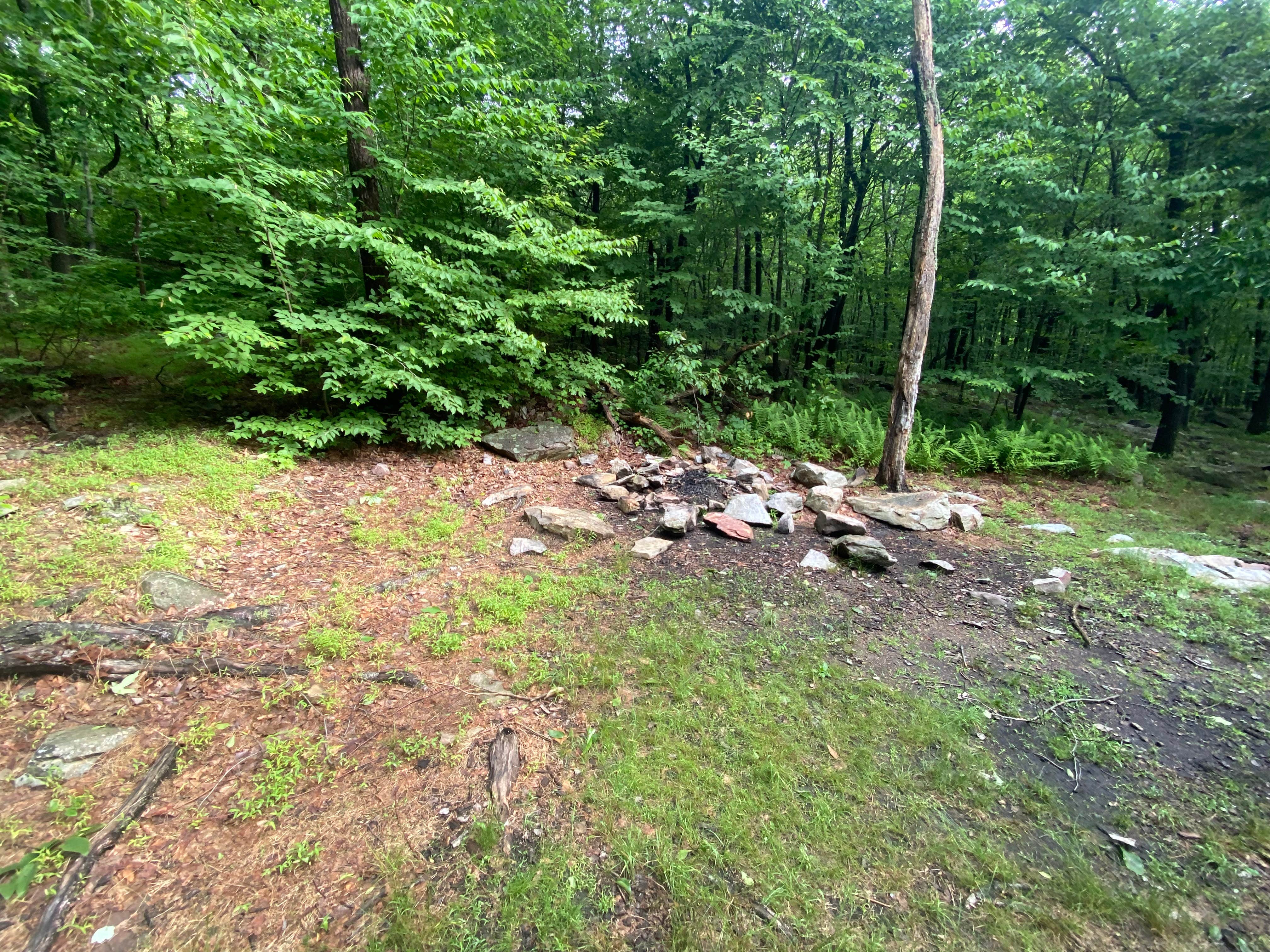 Camper-submitted photo at Lehigh Gap Woodpecker Trailhead Primitive Campground near Fogelsville, PA