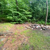 Review photo of Lehigh Gap Woodpecker Trailhead Primitive Campground by Asher K., June 29, 2023