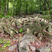 Review photo of Lehigh Gap Woodpecker Trailhead Primitive Campground by Asher K., June 29, 2023