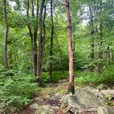 Review photo of Lehigh Gap Woodpecker Trailhead Primitive Campground by Asher K., June 29, 2023