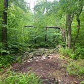 Review photo of Lehigh Gap Woodpecker Trailhead Primitive Campground by Asher K., June 29, 2023