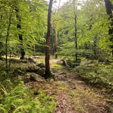 Review photo of Lehigh Gap Woodpecker Trailhead Primitive Campground by Asher K., June 29, 2023