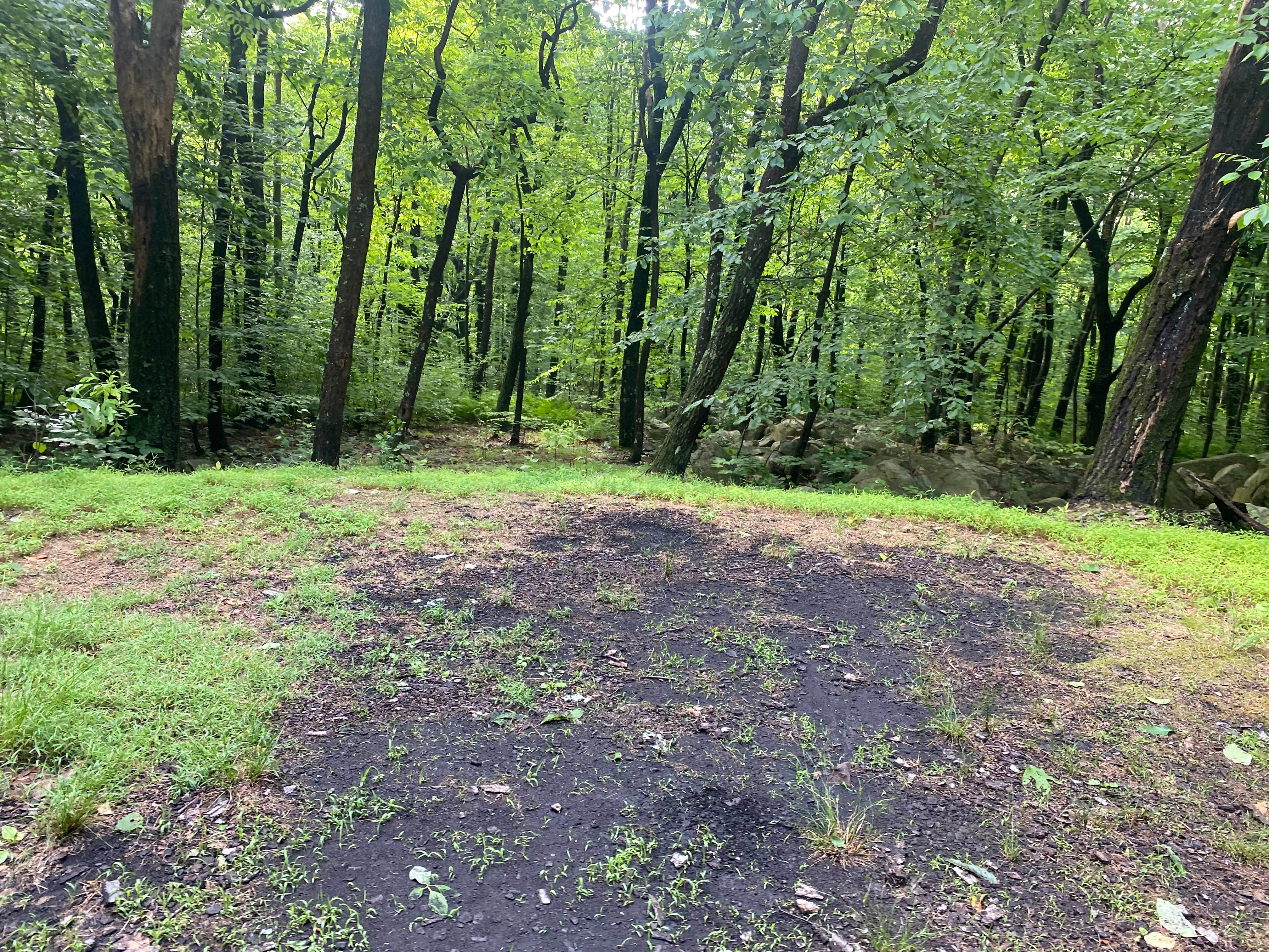 Camper-submitted photo at Lehigh Gap Woodpecker Trailhead Primitive Campground near Fogelsville, PA