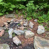 Review photo of Lehigh Gap Woodpecker Trailhead Primitive Campground by Asher K., June 29, 2023