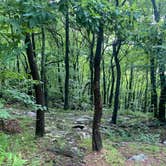 Review photo of Lehigh Gap Woodpecker Trailhead Primitive Campground by Asher K., June 29, 2023