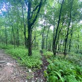 Review photo of Lehigh Gap AT primitive campsite (group) by Asher K., June 29, 2023