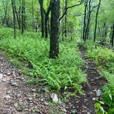 Review photo of Lehigh Gap AT primitive campsite (group) by Asher K., June 29, 2023