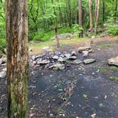 Review photo of Lehigh Gap AT primitive campsite (group) by Asher K., June 29, 2023