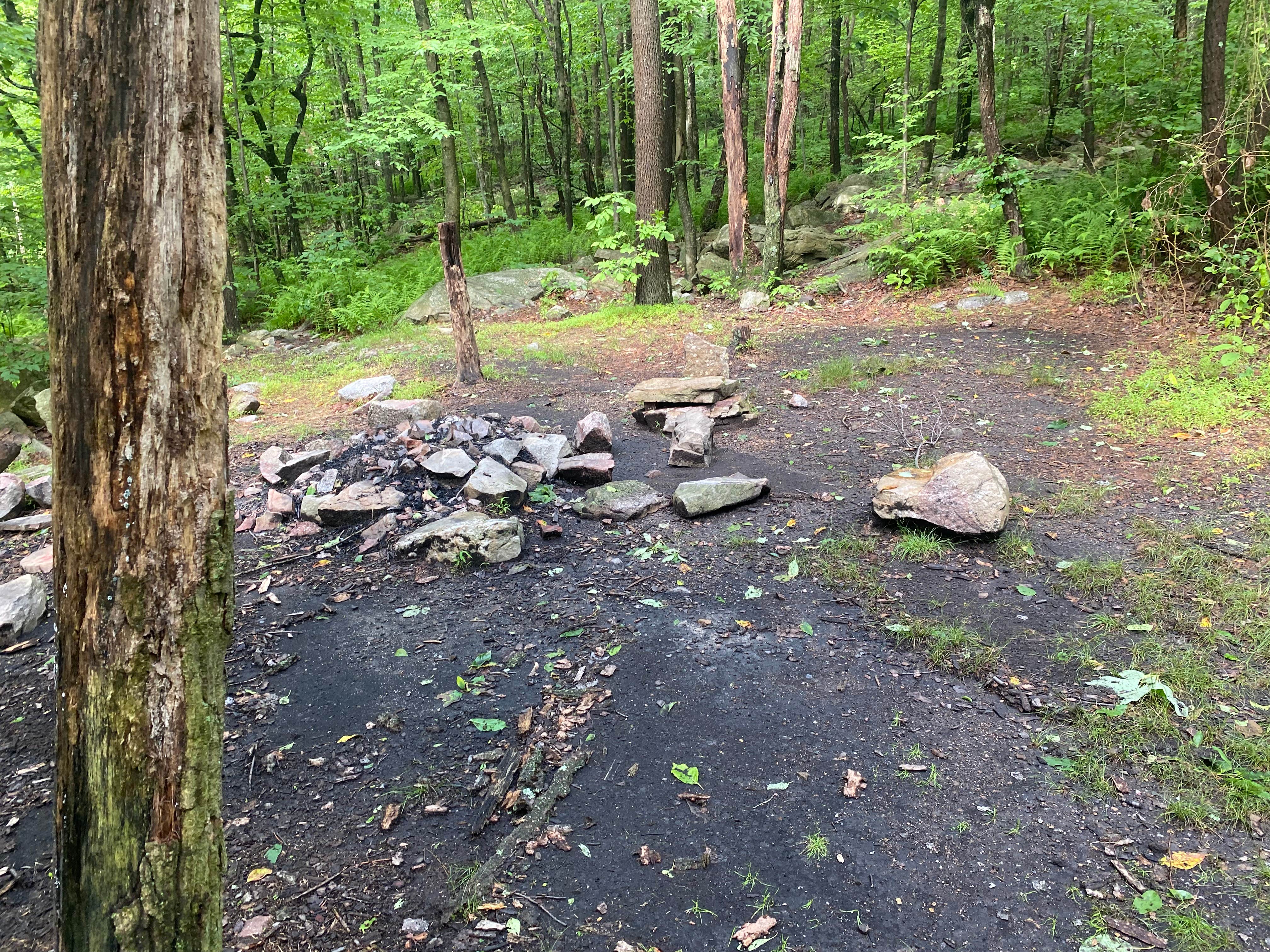 Camper submitted image from Lehigh Gap AT primitive campsite (group) - 5