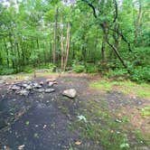 Review photo of Lehigh Gap AT primitive campsite (group) by Asher K., June 29, 2023