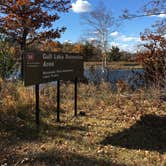 Review photo of Gull Lake Recreation Area by Janet R., October 20, 2018