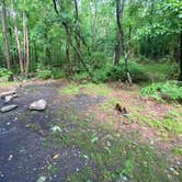 Review photo of Lehigh Gap AT primitive campsite (group) by Asher K., June 29, 2023