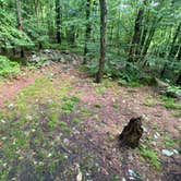 Review photo of Lehigh Gap AT primitive campsite (group) by Asher K., June 29, 2023