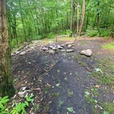 Review photo of Lehigh Gap AT primitive campsite (group) by Asher K., June 29, 2023