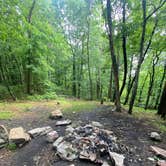 Review photo of Lehigh Gap AT primitive campsite (group) by Asher K., June 29, 2023