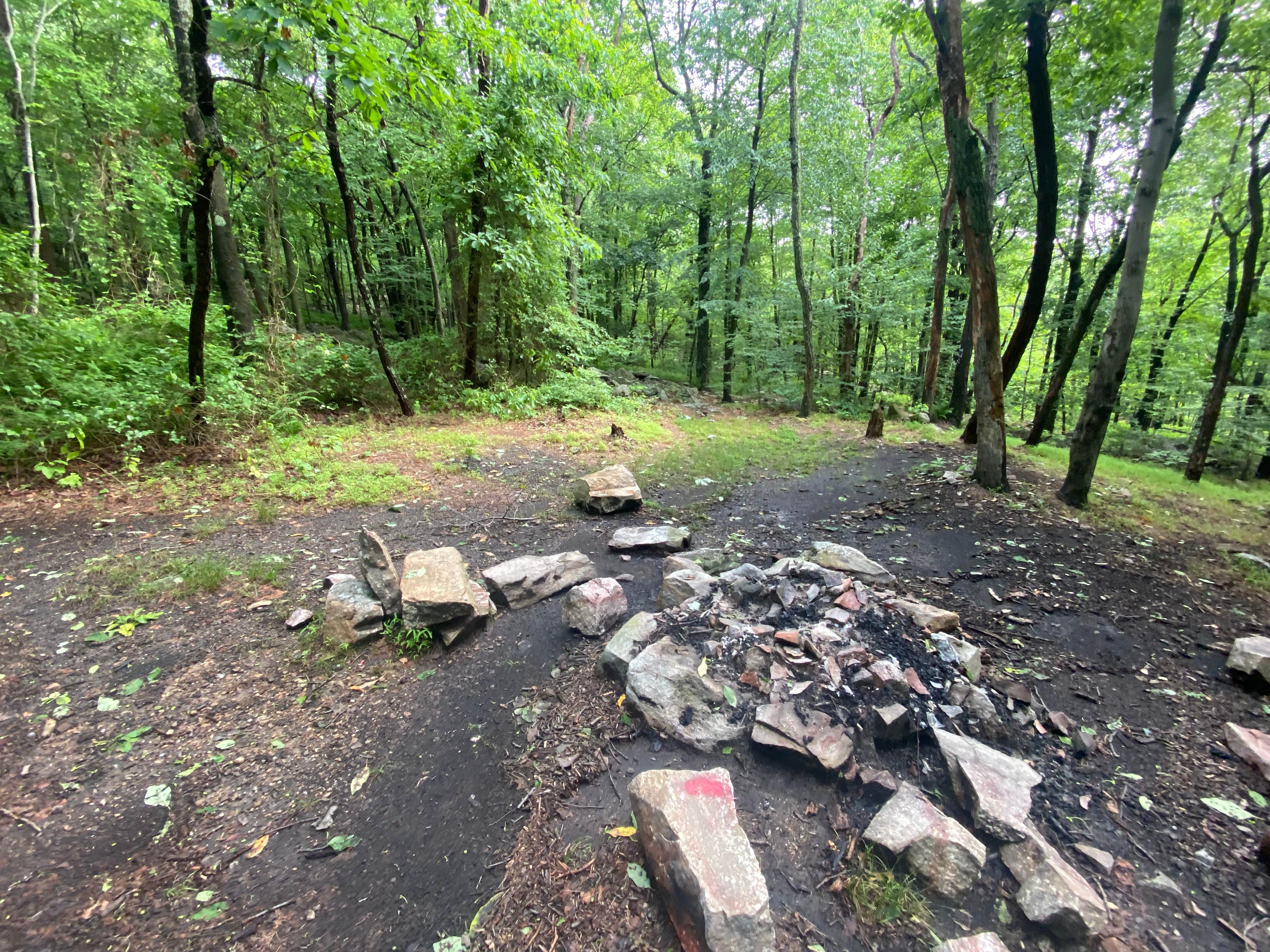 Camper-submitted photo at Lehigh Gap AT primitive campsite (group) near Macungie, PA