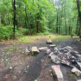 Review photo of Lehigh Gap AT primitive campsite (group) by Asher K., June 29, 2023