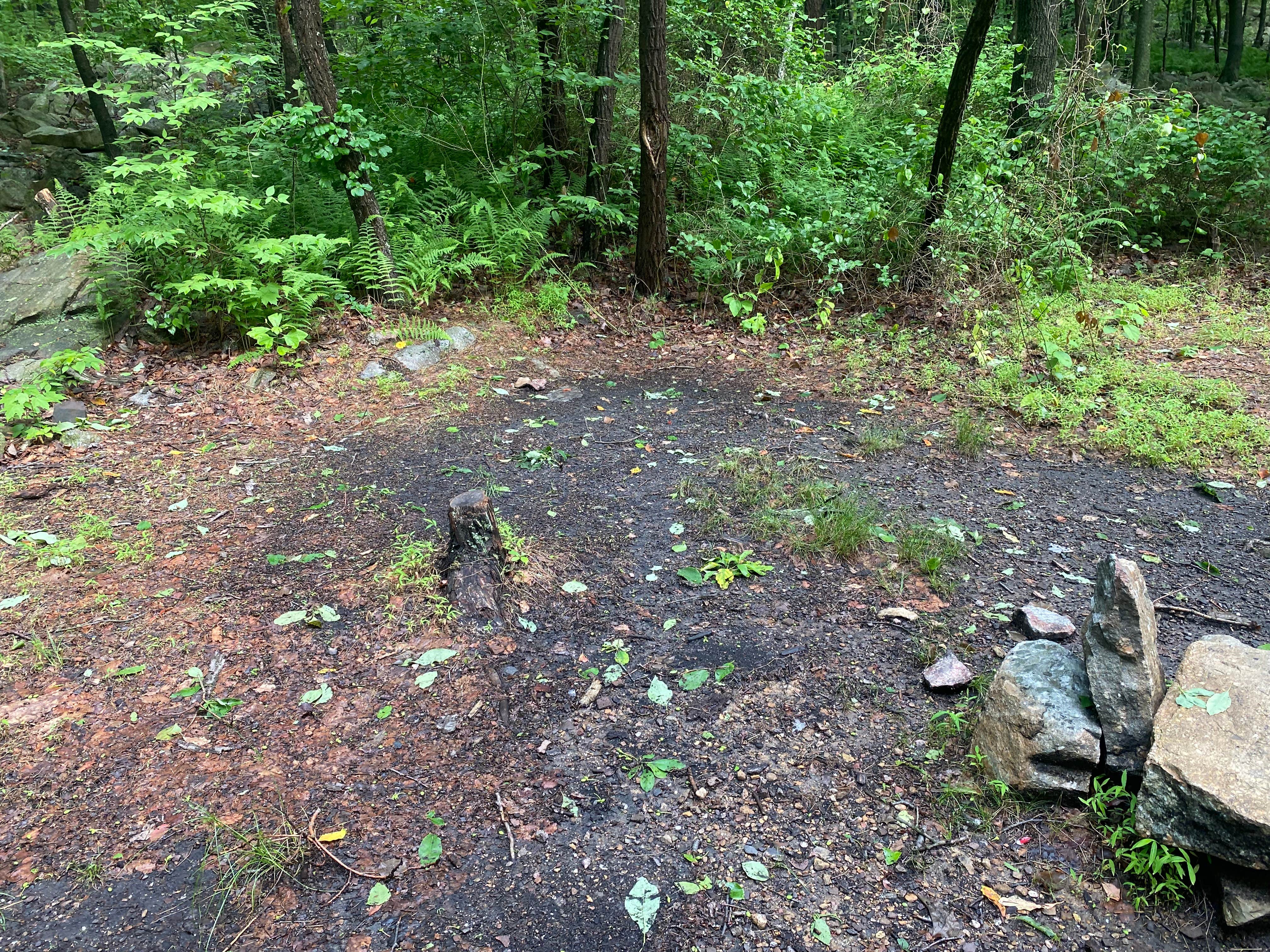 Camper-submitted photo at Lehigh Gap AT primitive campsite (group) near Macungie, PA