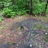 Review photo of Lehigh Gap AT primitive campsite (group) by Asher K., June 29, 2023