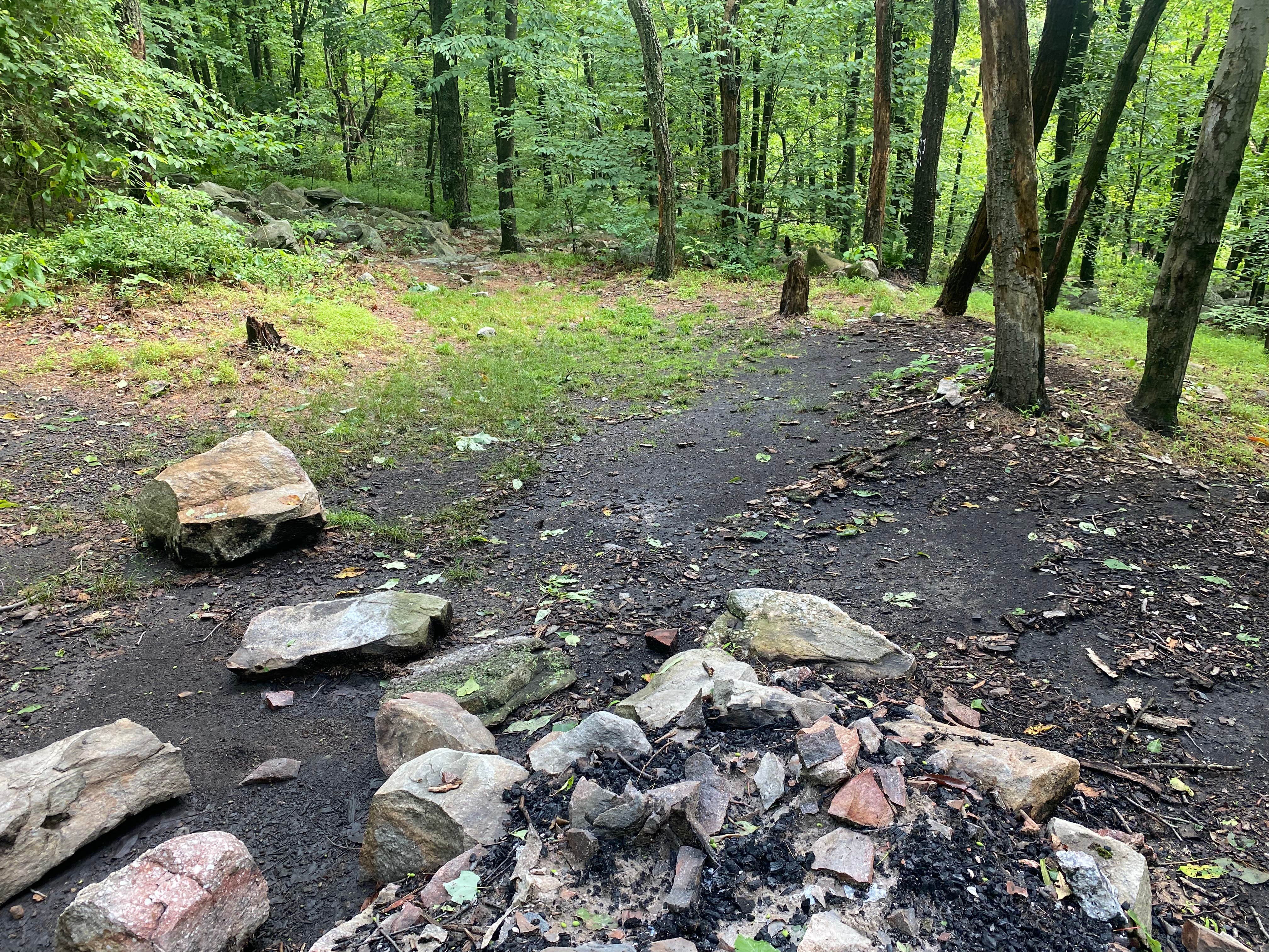 Camper-submitted photo at Lehigh Gap AT primitive campsite (group) near Macungie, PA