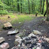 Review photo of Lehigh Gap AT primitive campsite (group) by Asher K., June 29, 2023