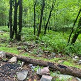 Review photo of Lehigh Gap AT primitive campsite (group) by Asher K., June 29, 2023