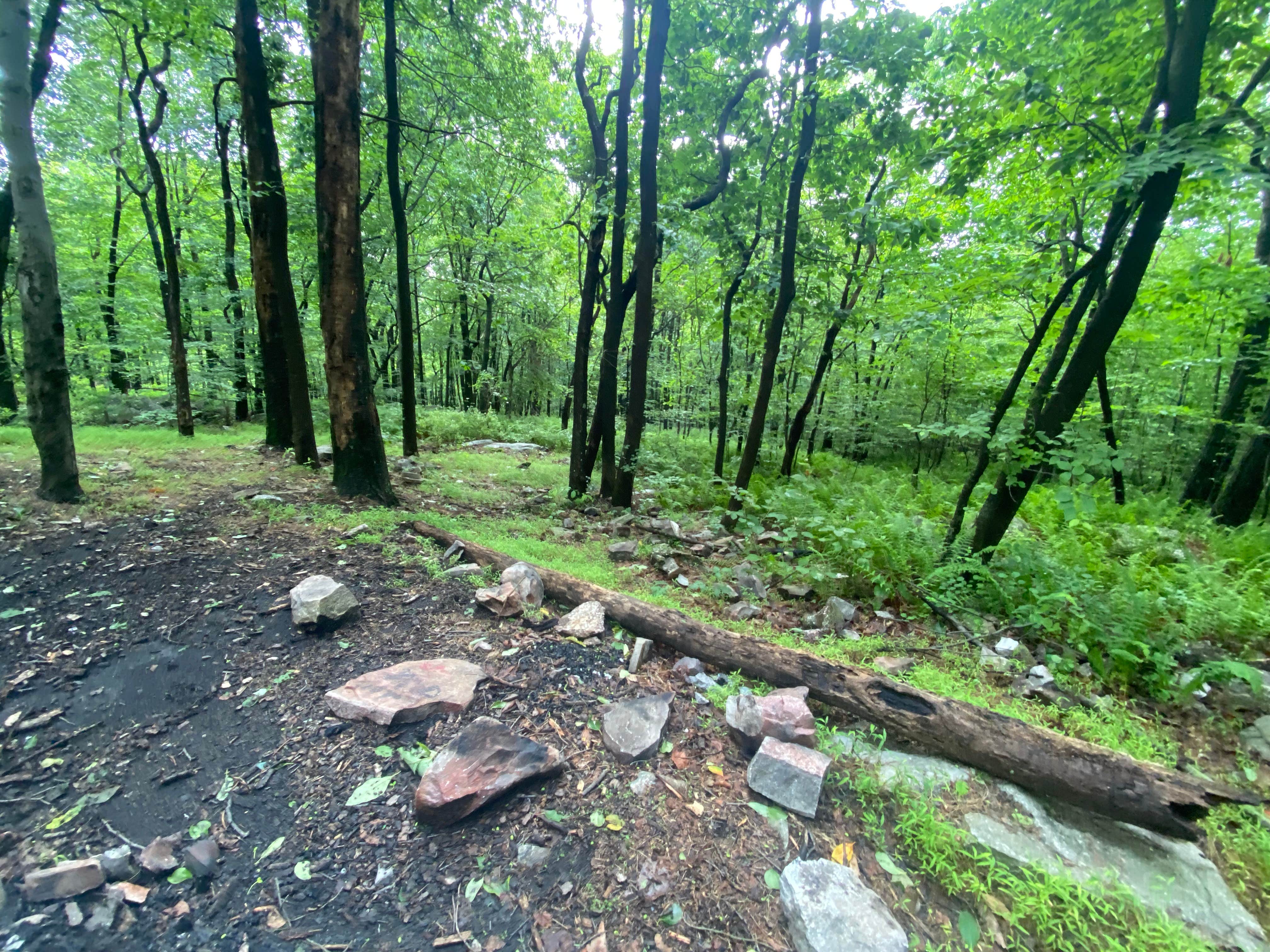 Camper-submitted photo at Lehigh Gap AT primitive campsite (group) near Macungie, PA
