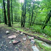 Review photo of Lehigh Gap AT primitive campsite (group) by Asher K., June 29, 2023