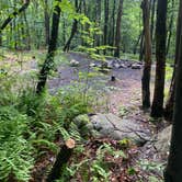 Review photo of Lehigh Gap AT primitive campsite (group) by Asher K., June 29, 2023