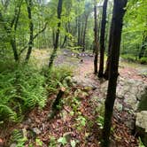 Review photo of Lehigh Gap AT primitive campsite (group) by Asher K., June 29, 2023