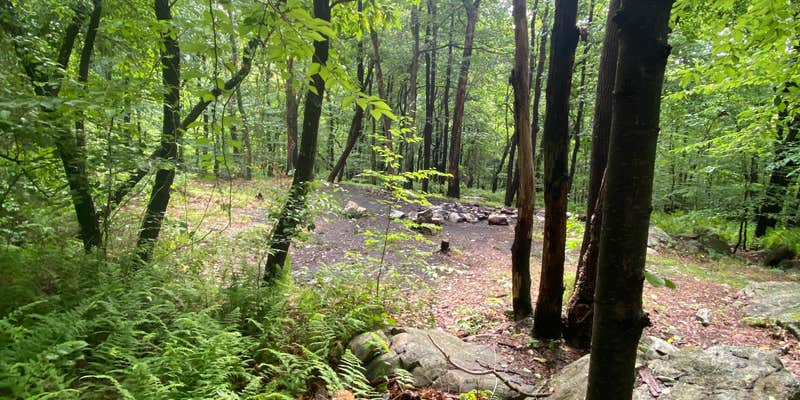 Camper submitted image from Lehigh Gap AT primitive campsite (group)