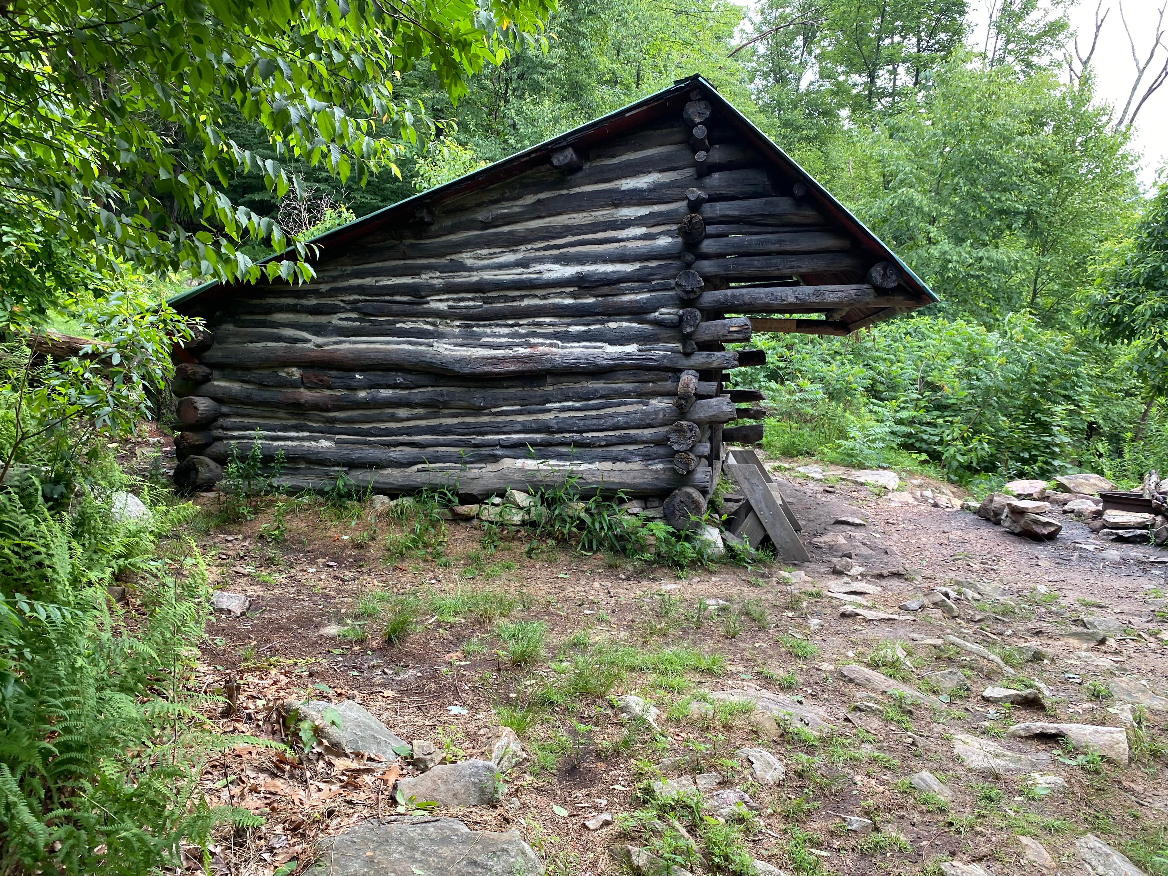 Camper-submitted photo at George W. Outerbridge AT Shelter near Blandon, PA