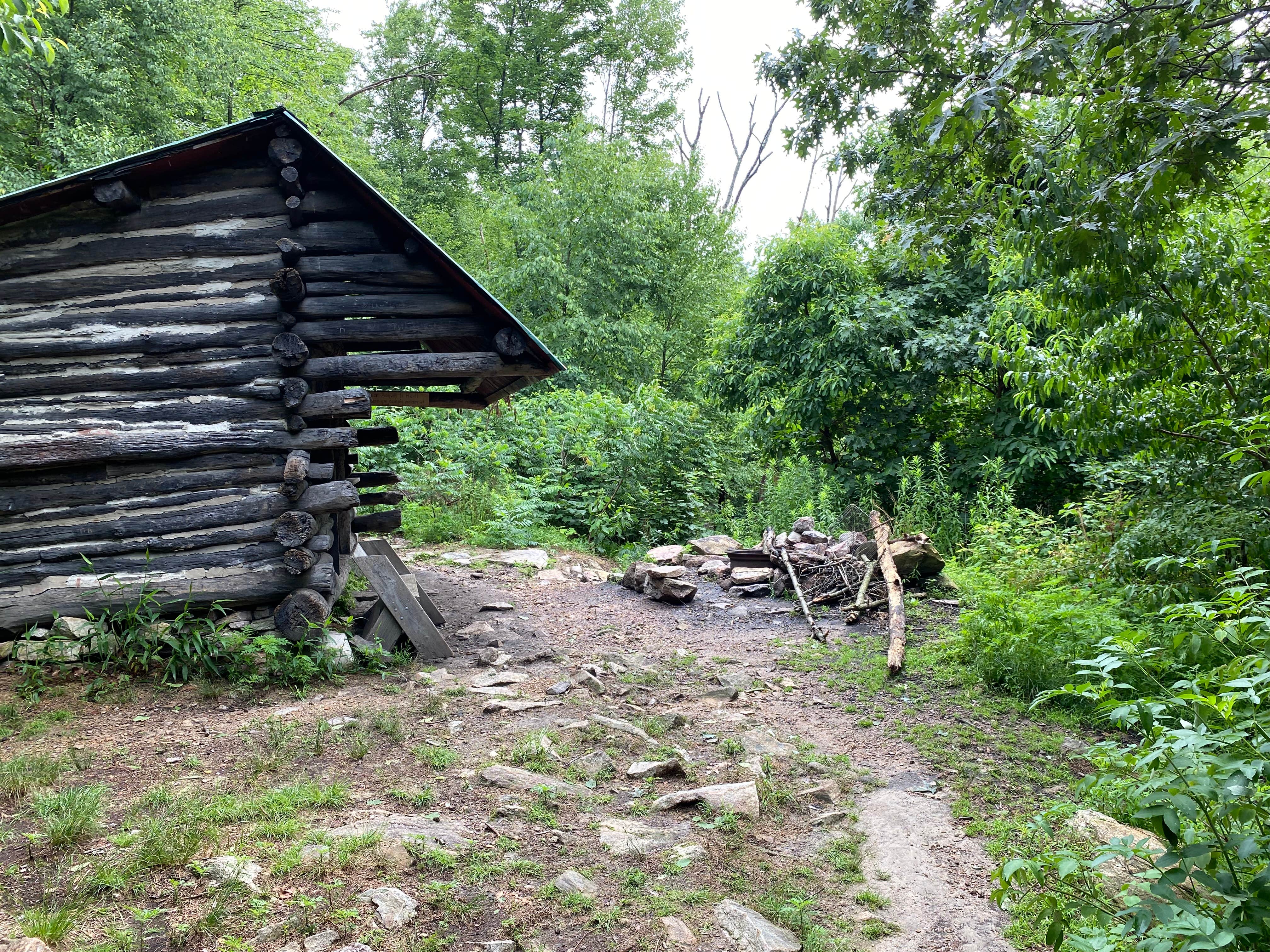 Camper submitted image from George W. Outerbridge AT Shelter - 1