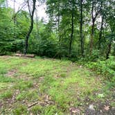 Review photo of AT/Bypass Trail Split Primitive Campground by Asher K., June 29, 2023