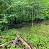 Review photo of AT/Bypass Trail Split Primitive Campground by Asher K., June 29, 2023