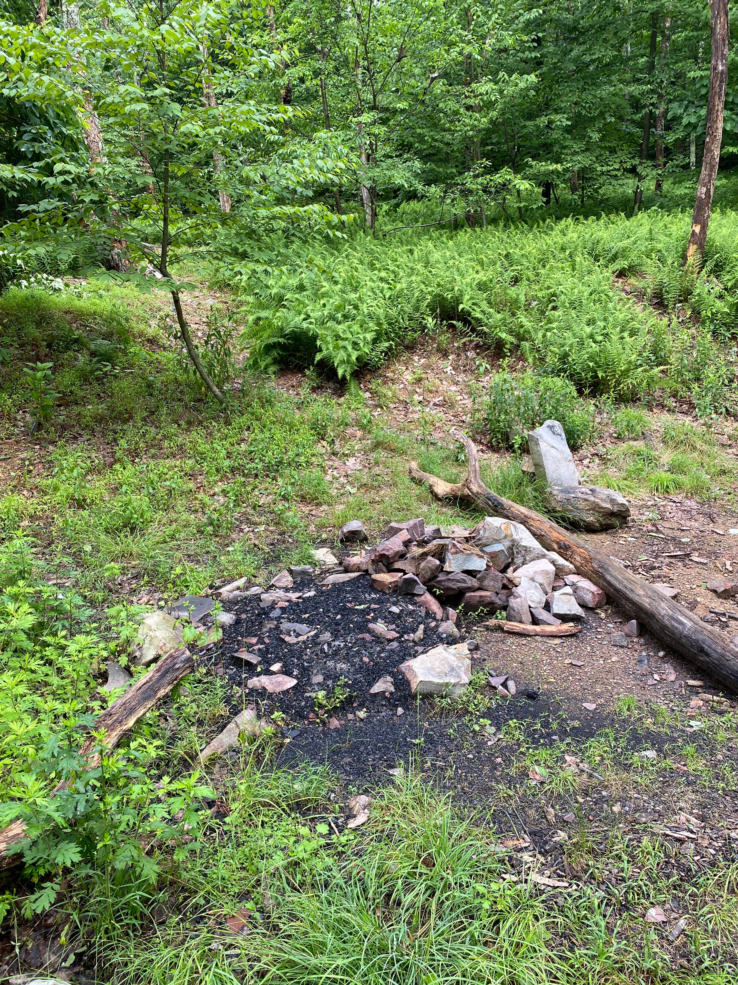 Camper-submitted photo at AT/Bypass Trail Split Primitive Campground near Weatherly, PA