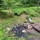 Review photo of AT/Bypass Trail Split Primitive Campground by Asher K., June 29, 2023