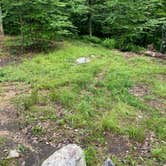 Review photo of AT/Bypass Trail Split Primitive Campground by Asher K., June 29, 2023