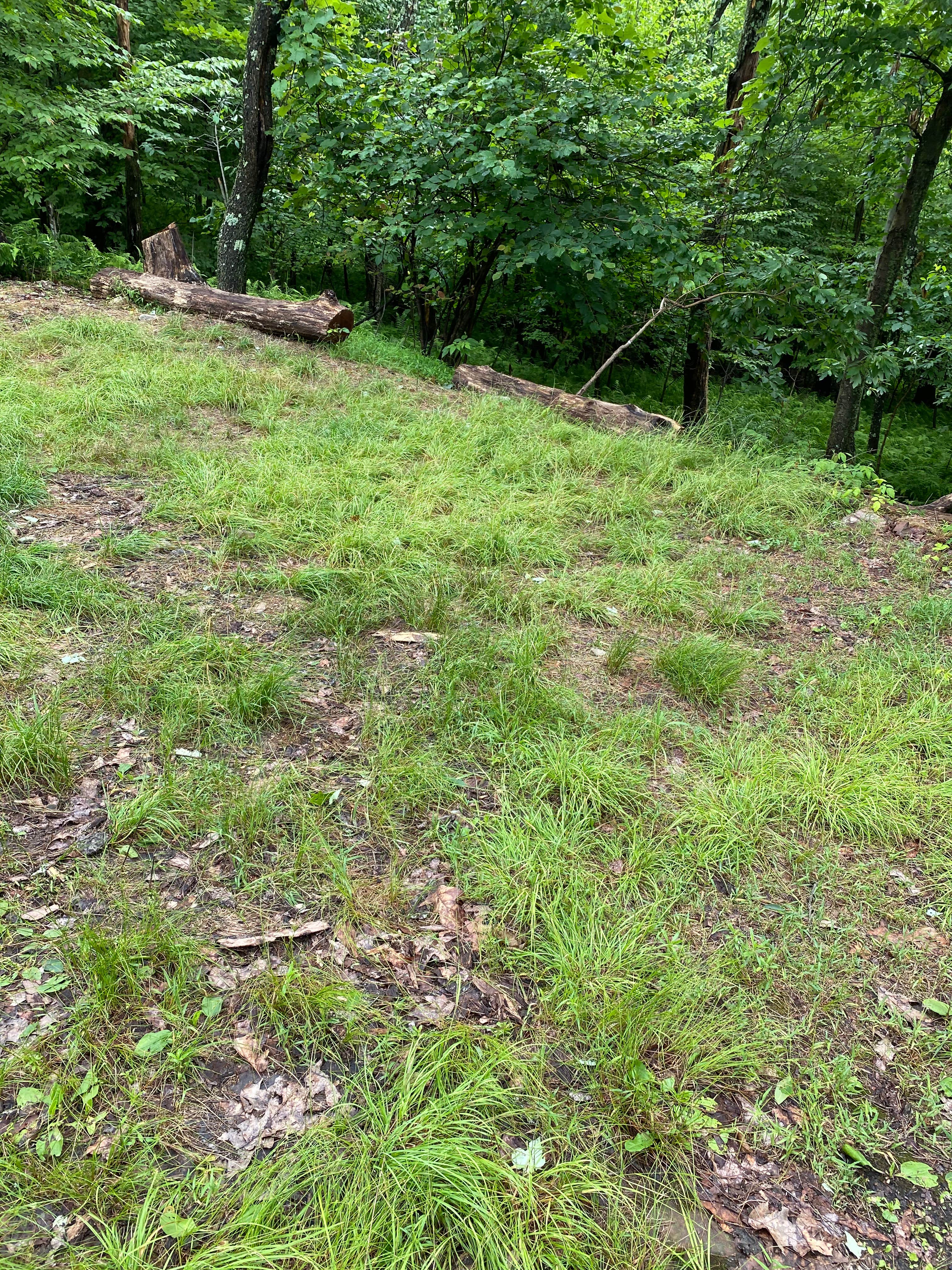 Camper-submitted photo at AT/Bypass Trail Split Primitive Campground near Weatherly, PA