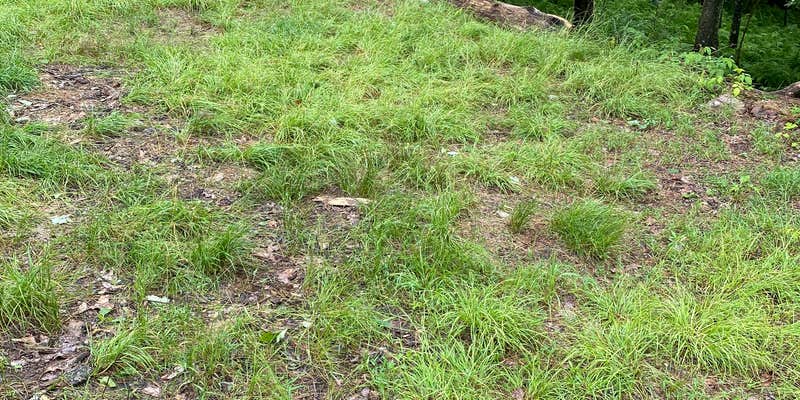 Camper submitted image from AT/Bypass Trail Split Primitive Campground