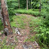 Review photo of AT/Bypass Trail Split Primitive Campground by Asher K., June 29, 2023