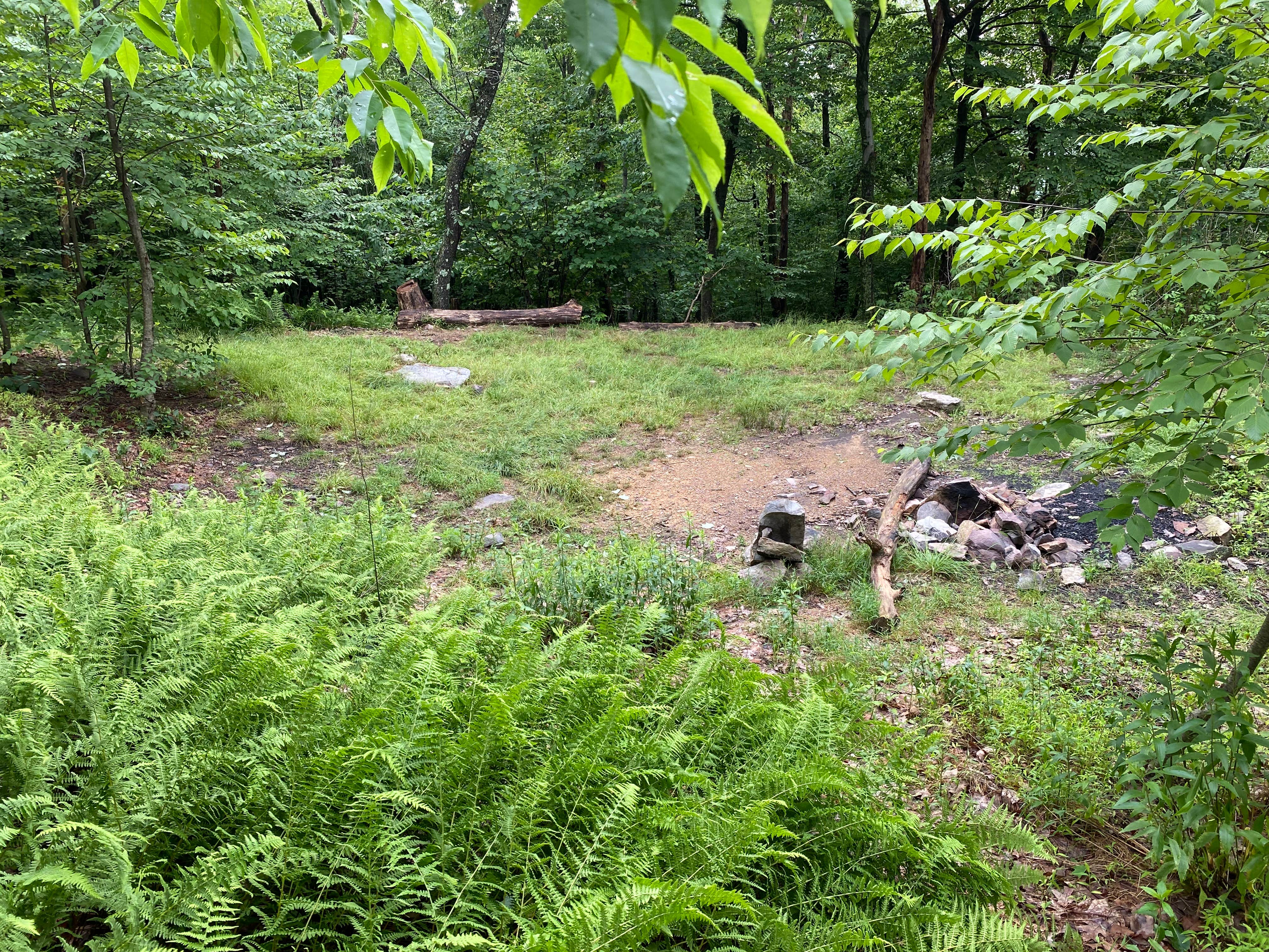 Camper-submitted photo at AT/Bypass Trail Split Primitive Campground near Weatherly, PA
