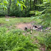 Review photo of AT/Bypass Trail Split Primitive Campground by Asher K., June 29, 2023