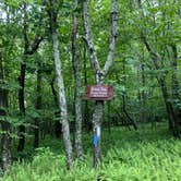 Review photo of AT/Bypass Trail Split Primitive Campground by Asher K., June 29, 2023