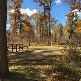 Review photo of Gull Lake Recreation Area by Janet R., October 20, 2018