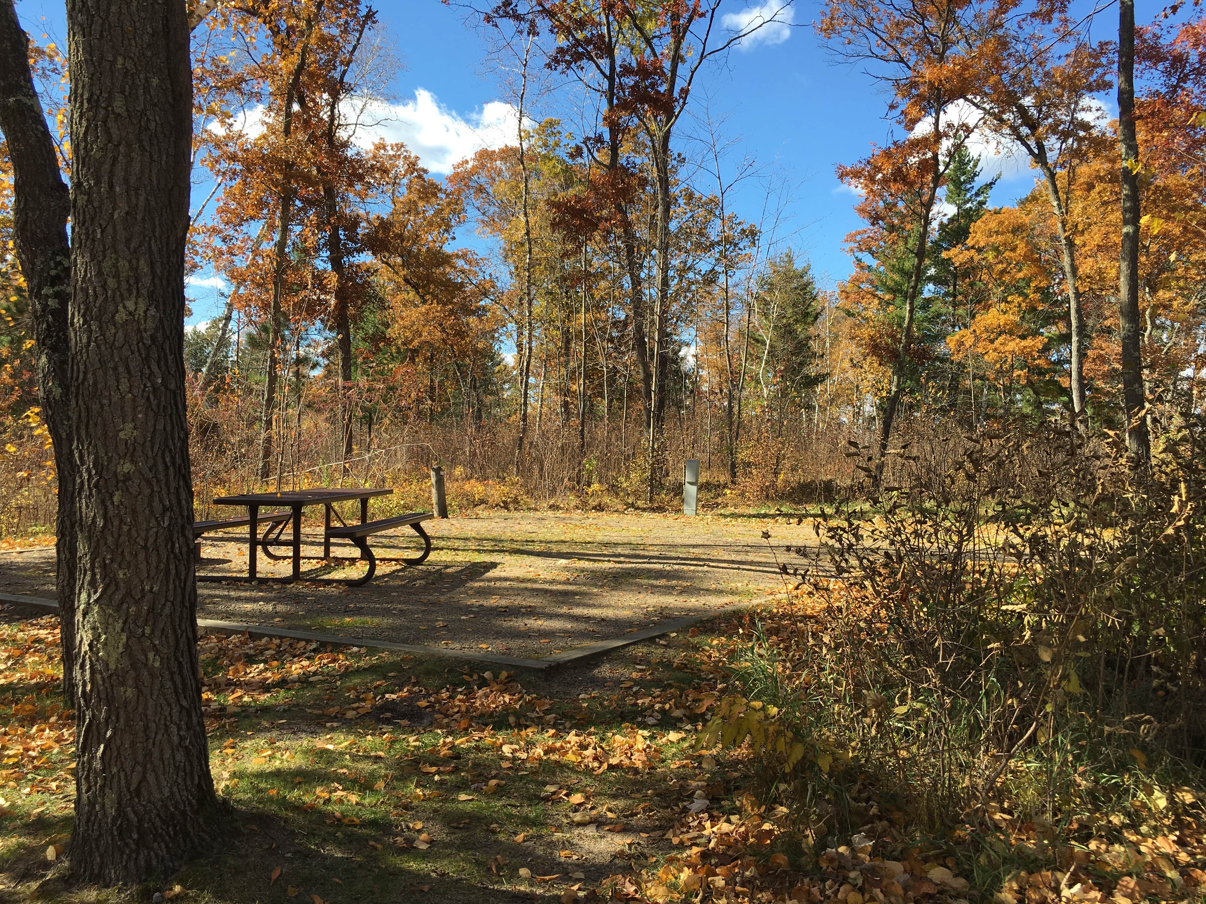 Camper submitted image from Gull Lake Recreation Area - 4